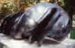 images/references/champs_sculpture.jpg
