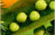 images/references/suvimax.jpg